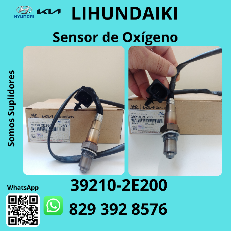 SENSORES DE HYUNDAI Y KIA NUEVOS Foto 7300063-11.jpg