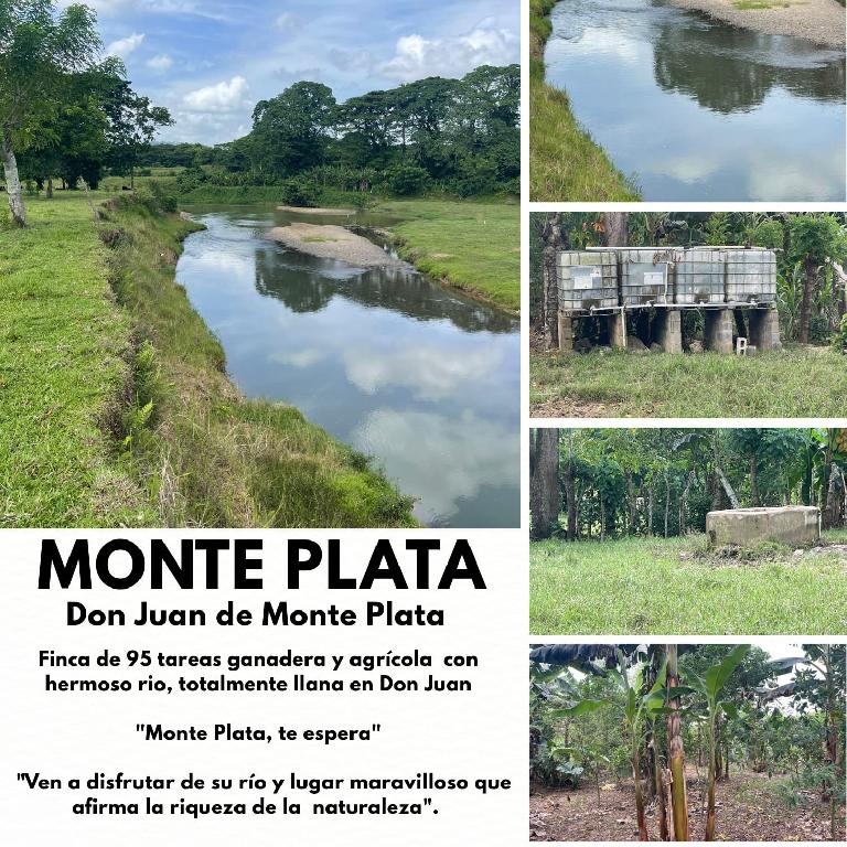 Finca de 96 tareas ganaderas y agrícolas con hermoso río totalmente ll Foto 7300445-1.jpg