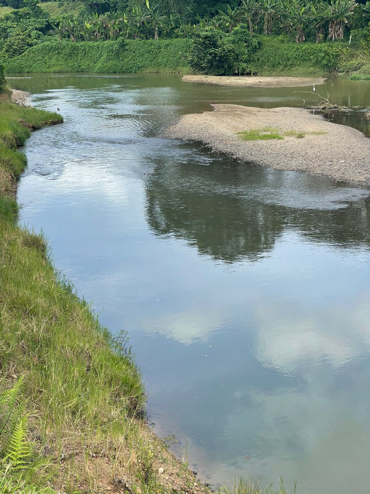 Finca de 96 tareas ganaderas y agrícolas con hermoso río totalmente ll Foto 7300445-2.jpg