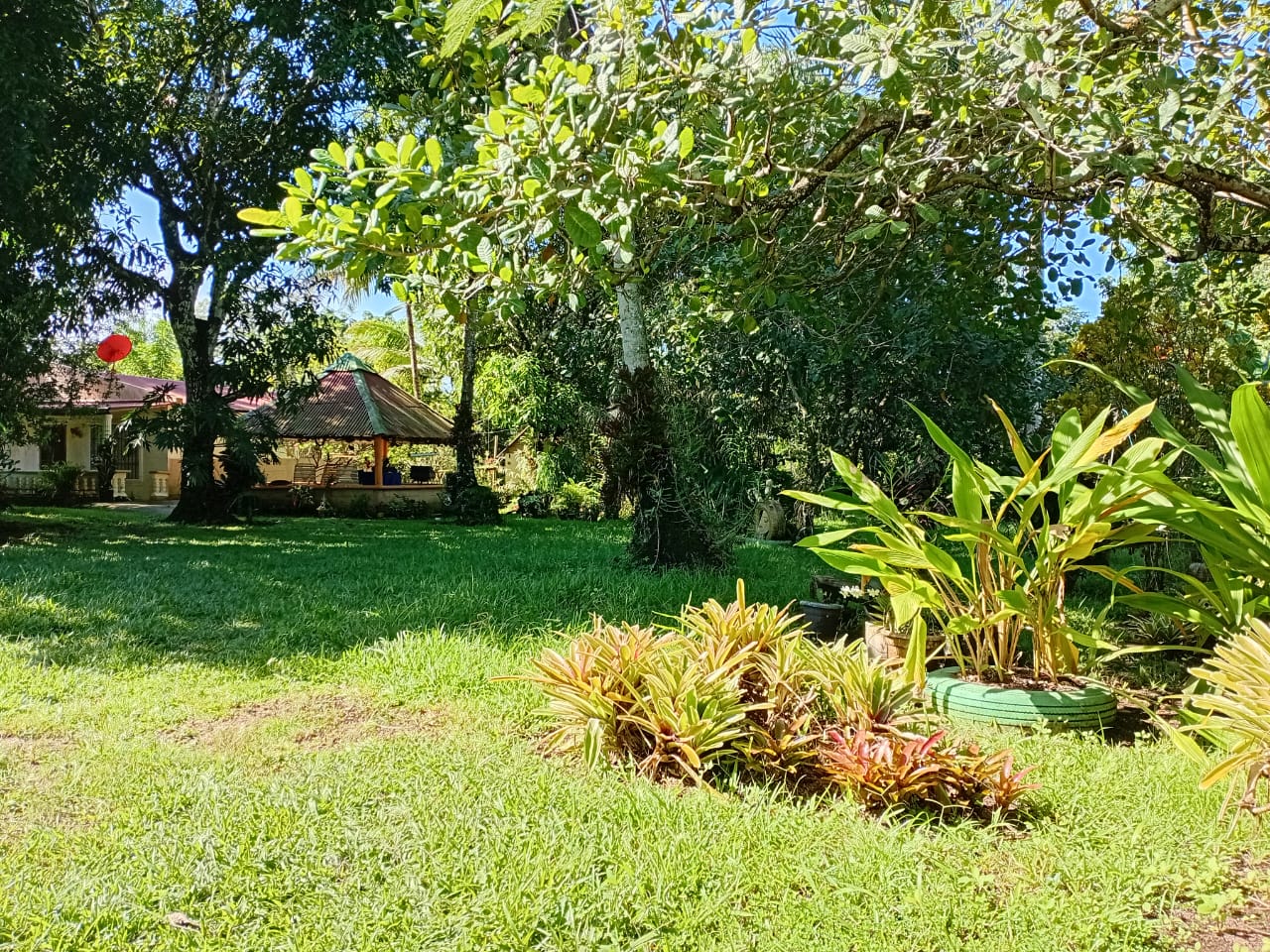 Finca de 12 tareas recreativas con casa campestre en Bayaguana Foto 7300461-2.jpg