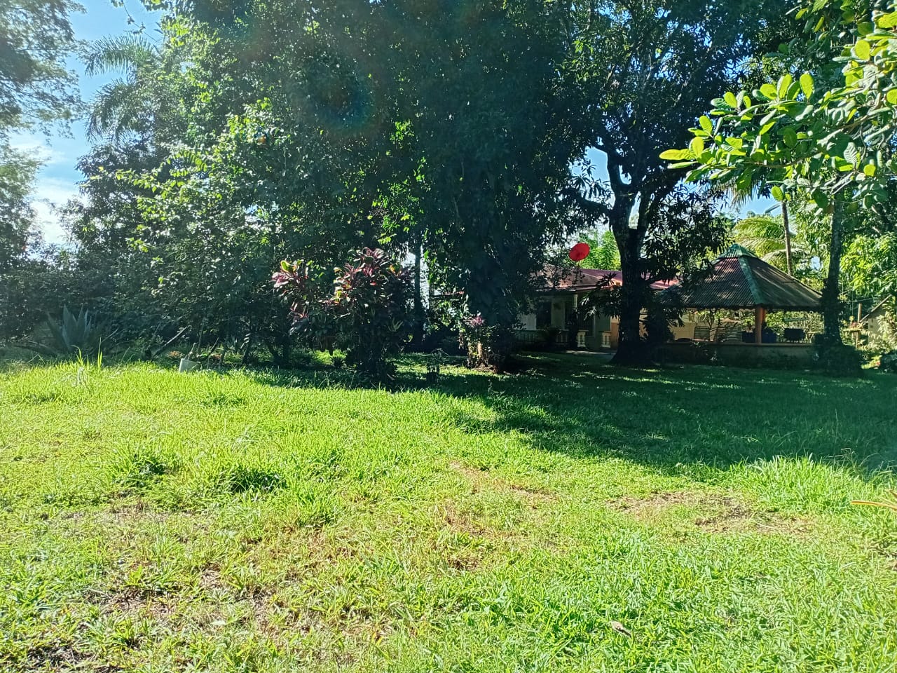Finca de 12 tareas recreativas con casa campestre en Bayaguana Foto 7300461-5.jpg