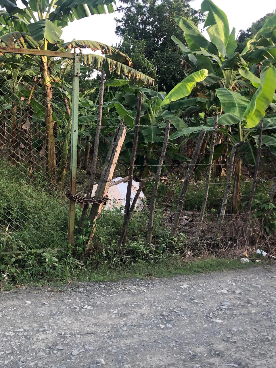  VENDO TERRENO DONDE LA NATURALEZA Y LA TRANQUILIDAD SE ENCUENTRAN Foto 7300468-2.jpg