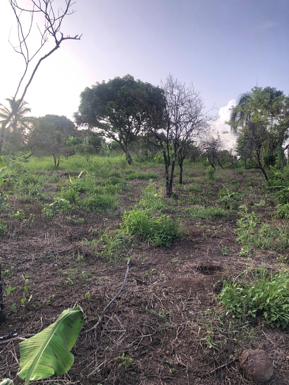  VENDO TERRENO DONDE LA NATURALEZA Y LA TRANQUILIDAD SE ENCUENTRAN Foto 7300468-9.jpg