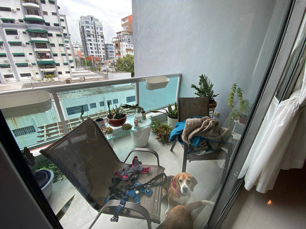 Apartamento en Evaristo Morales 2 habs 2.5 baños 2 parqs Foto 7302576-5.jpg