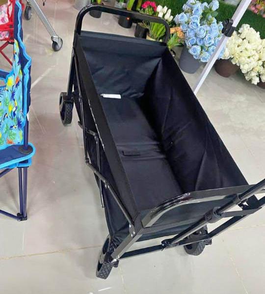 Carrito de diferente uso n Foto 7302637-3.jpg