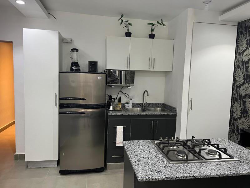 APARTAMENTO AMUEBLADO EN ALQUILER EN CIUDAD NUEVA Foto 7302811-12.jpg