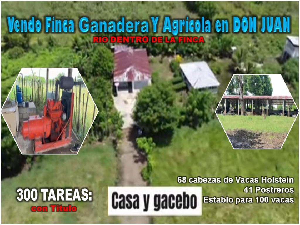 Vendo SUPER Finca Ganadera y Agrícola 300 Tareas en Don Juan Monte Pla Foto 7302816-1.jpg