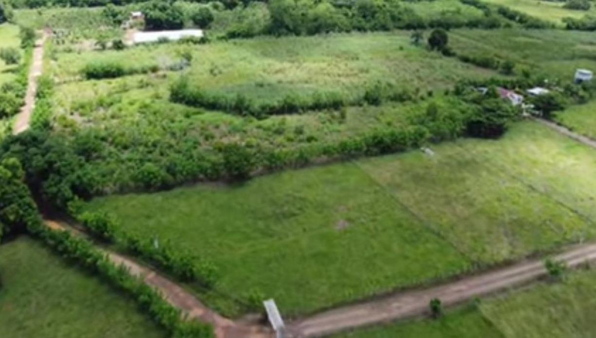 Vendo SUPER Finca Ganadera y Agrícola 300 Tareas en Don Juan Monte Pla Foto 7302816-4.jpg