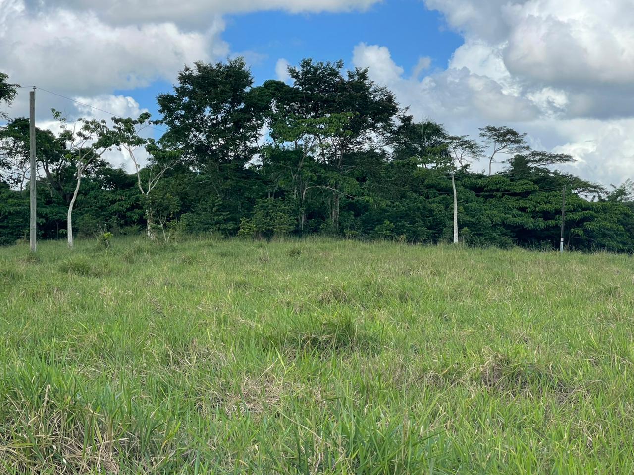 Vendo Finca GANADERA o AGRICOLA  de 674 TAREAS en LUISA BLANCA Monte P Foto 7303051-13.jpg