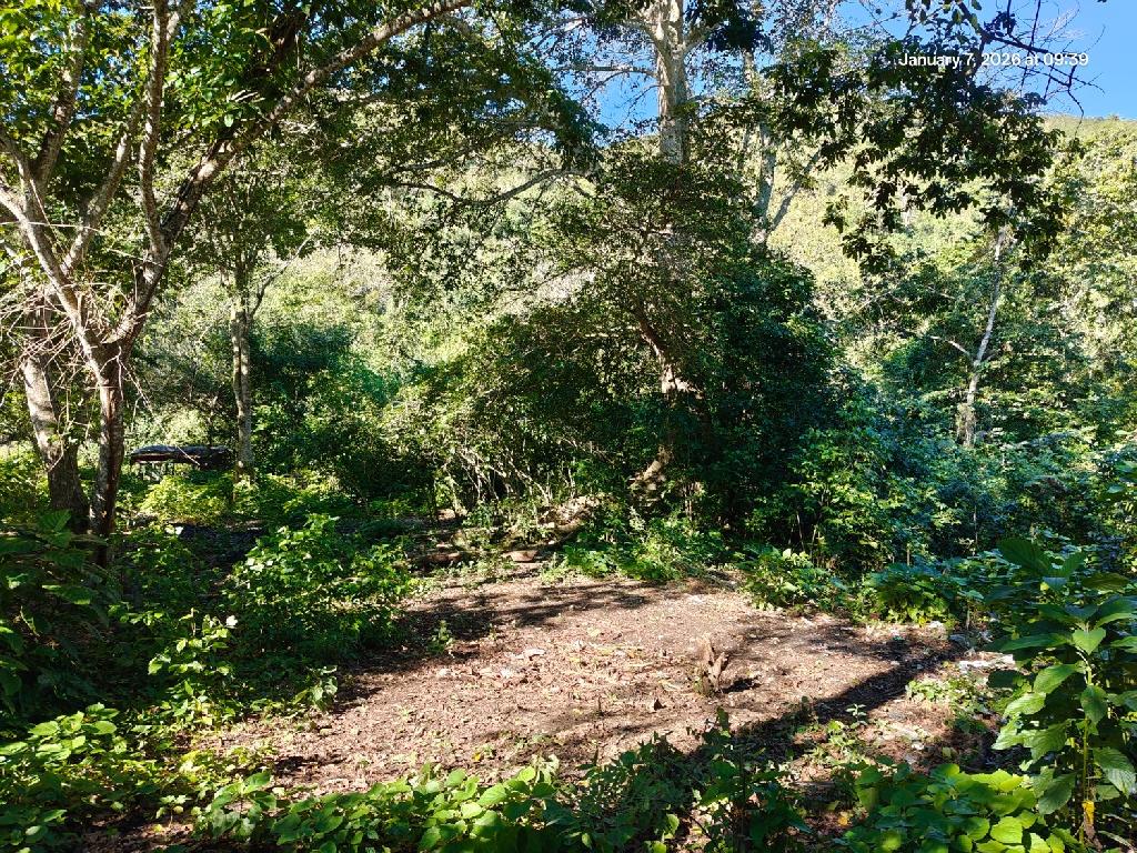 Finca Con Boca De Río. Apta para agricultura o ecoturismo Foto 7303210-3.jpg