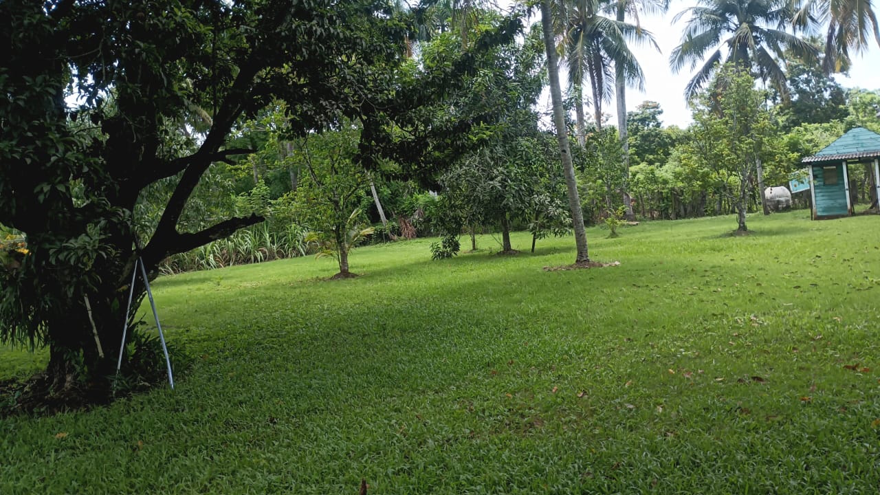 Finca de 50 tareas recreativas con vocación Agrícola en Hará Nacionale Foto 7303621-10.jpg
