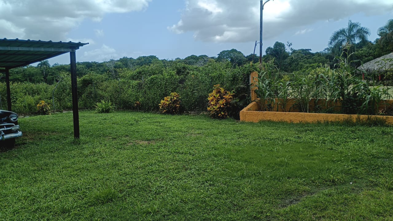 Finca de 50 tareas recreativas con vocación Agrícola en Hará Nacionale Foto 7303621-7.jpg