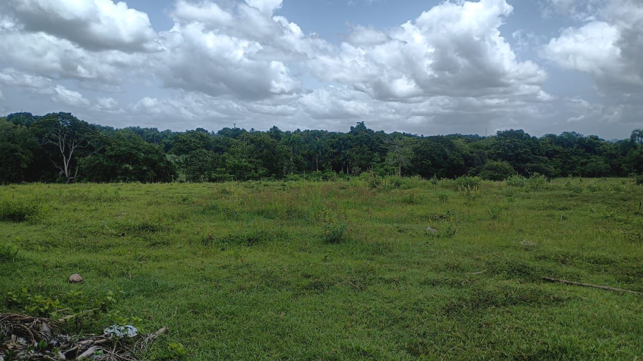 Finca de 50 tareas recreativas con vocación Agrícola en Hará Nacionale Foto 7303621-8.jpg