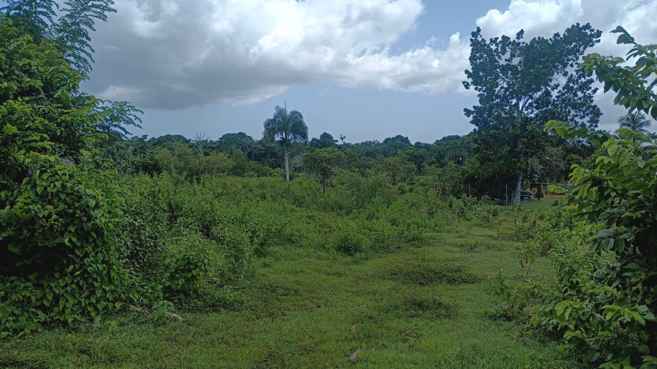 Finca de 50 tareas recreativas con vocación Agrícola en Hará Nacionale Foto 7303621-9.jpg