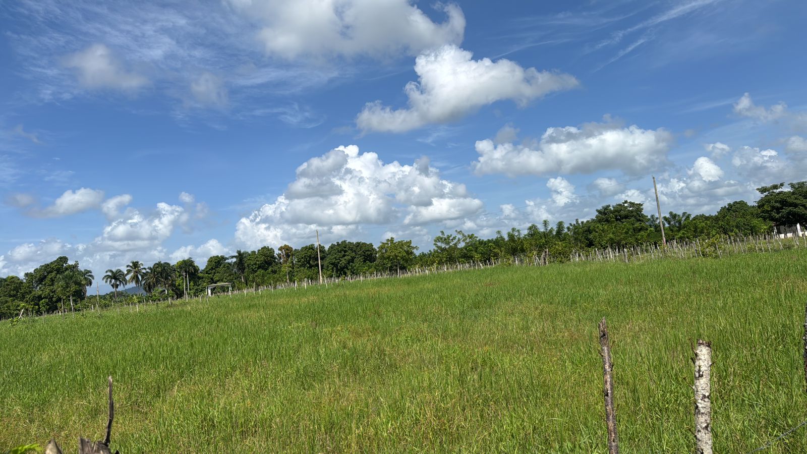 Oportunidad finca de 510 tareas totalmente Ganadera equipada con 68 ca Foto 7303622-4.jpg