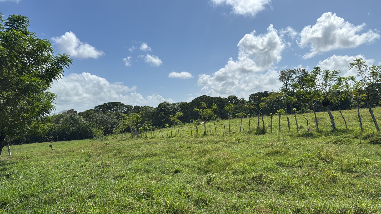 Oportunidad finca de 510 tareas totalmente Ganadera equipada con 68 ca Foto 7303622-5.jpg