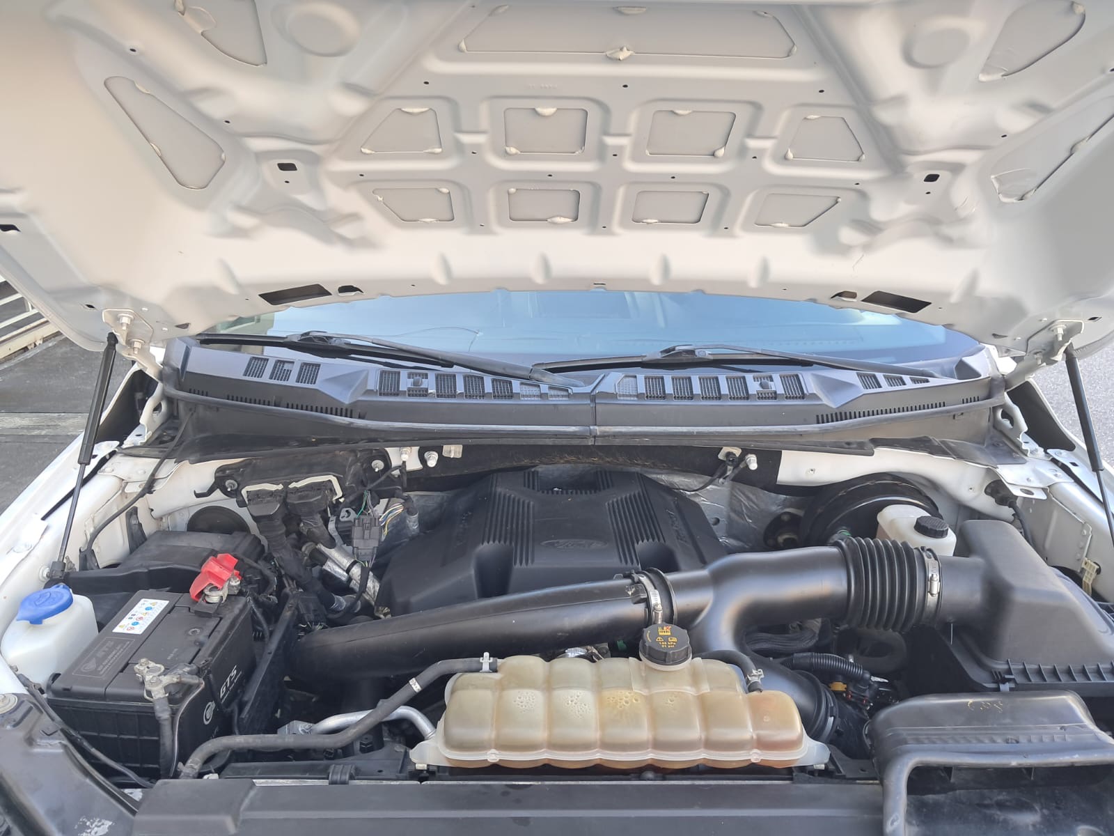 Ford F150 2019  Foto 7303991-3.jpg