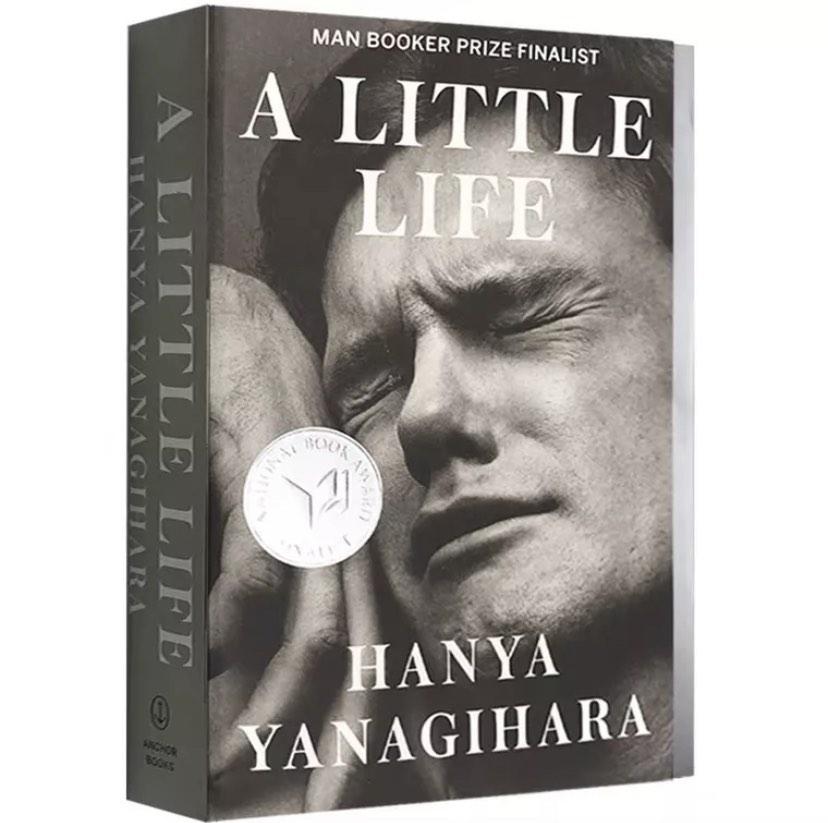libro a little life tapa blanda en Santo Domingo DN Foto 7304010-1.jpg