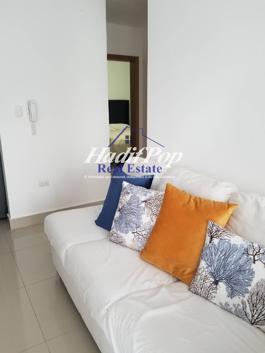 APARTAMENTO AMUEBLADO EN VENTA  Foto 7304078-7.jpg