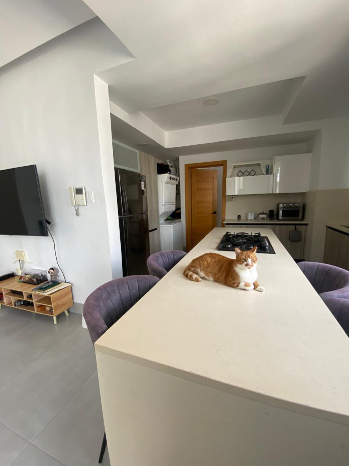 Apartamento en Alquiler Linea Blanca Evaristo Morales Foto 7304234-8.jpg