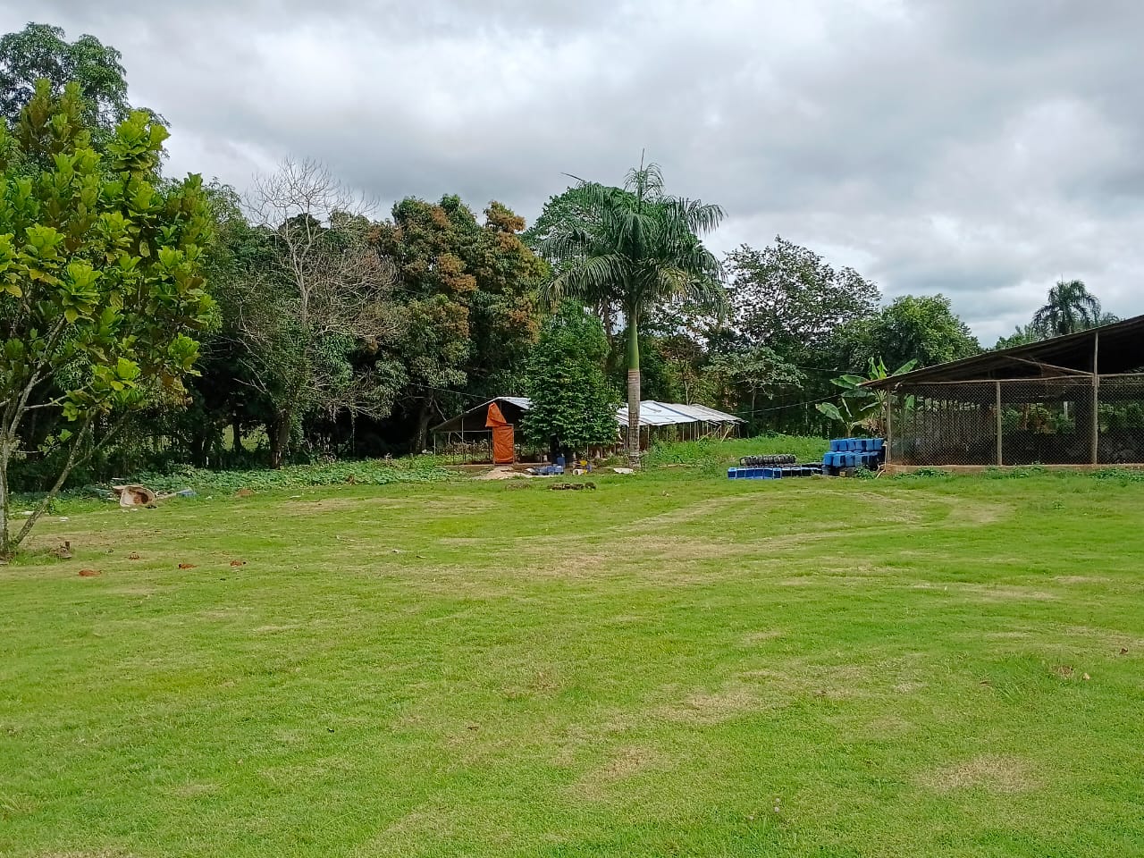 Finca de 21 tareas recreativas y agrícolas con tres naves para crianza Foto 7304236-12.jpg