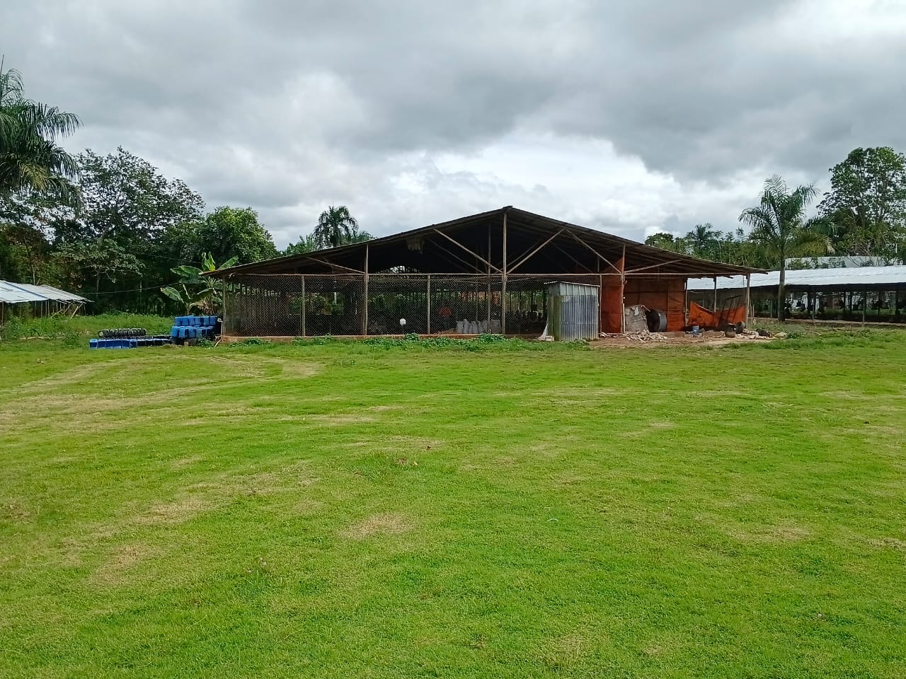Finca de 21 tareas recreativas y agrícolas con tres naves para crianza Foto 7304236-4.jpg