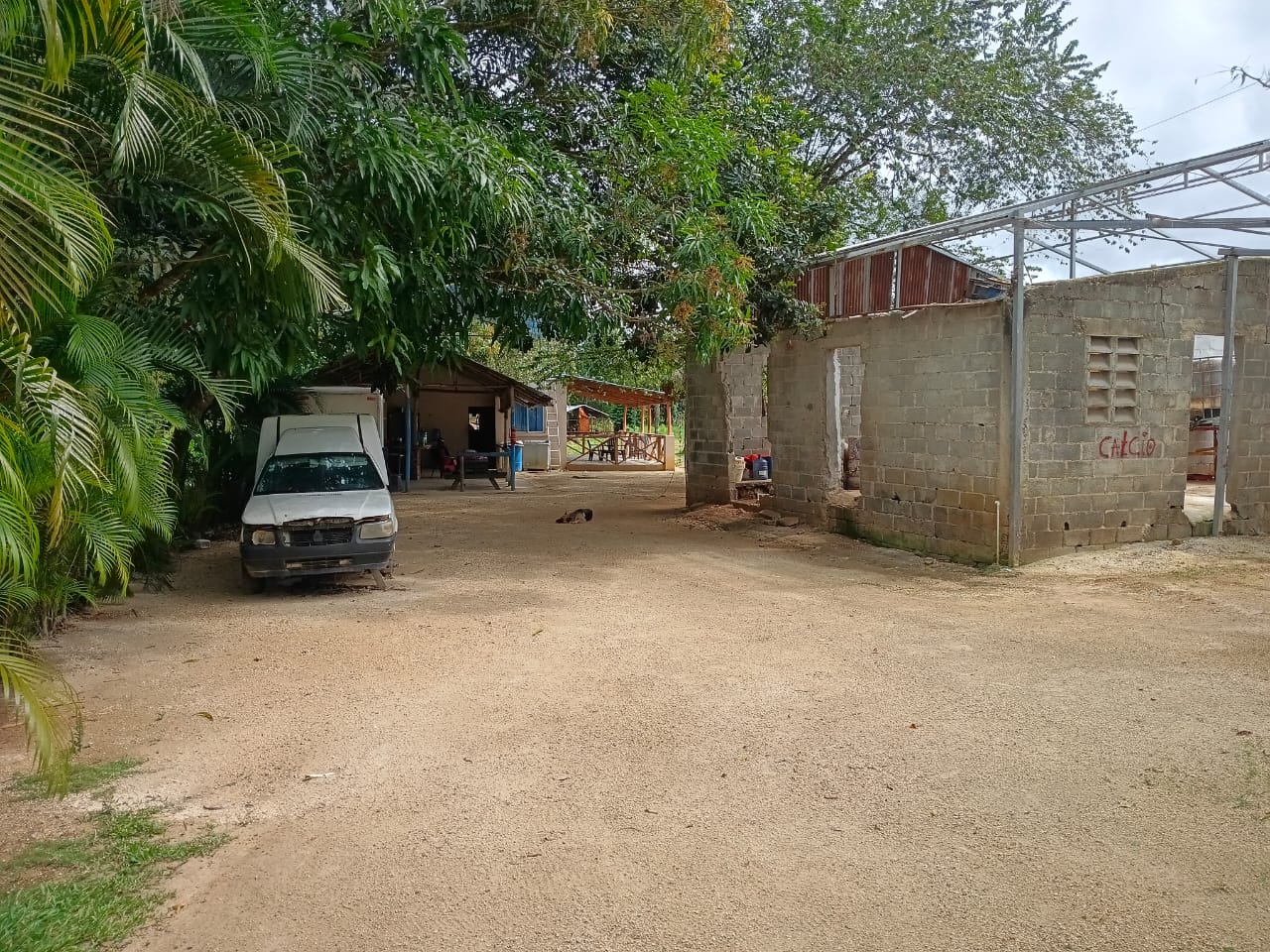 Finca de 21 tareas recreativas y agrícolas con tres naves para crianza Foto 7304236-8.jpg