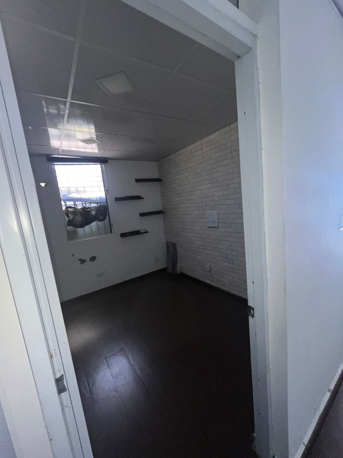 ALQUILER DE LOCAL COMERCIAL EN GAZCUE Foto 7304532-6.jpg