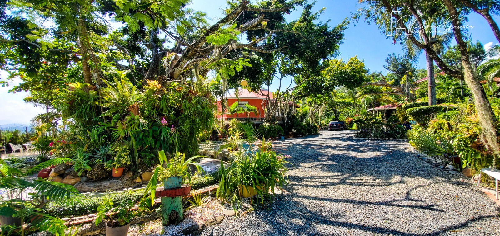 Finca de 10 tareas con casa campestre Jacuzzi con exuberantes y exótic Foto 7304700-6.jpg