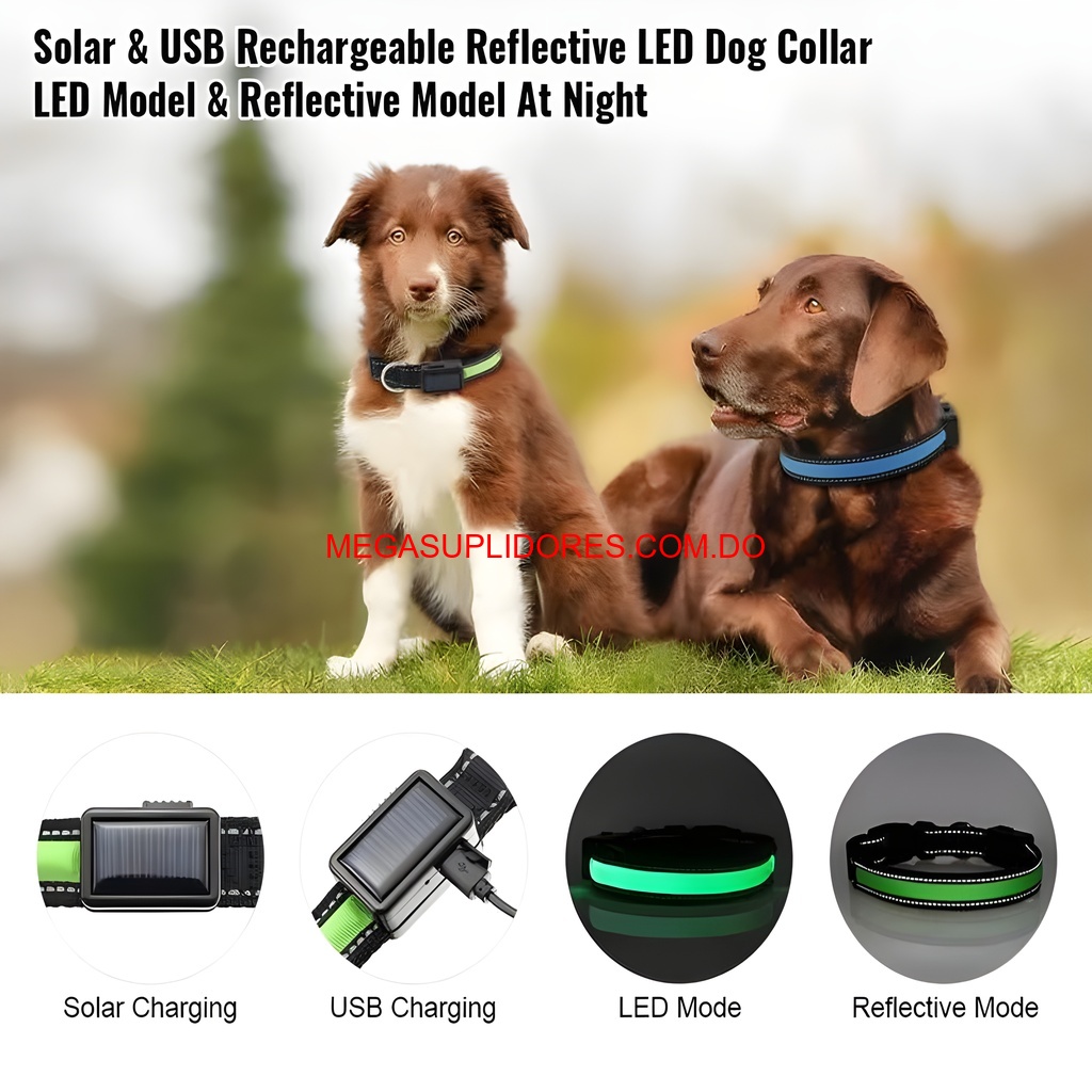  Collar Solar LED para Perro Iluminado Seguridad Nocturna 40cm/50cm Foto 7304741-10.jpg