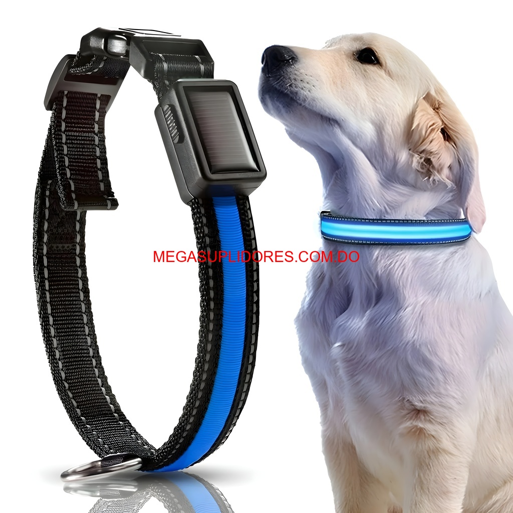  Collar Solar LED para Perro Iluminado Seguridad Nocturna 40cm/50cm Foto 7304741-2.jpg