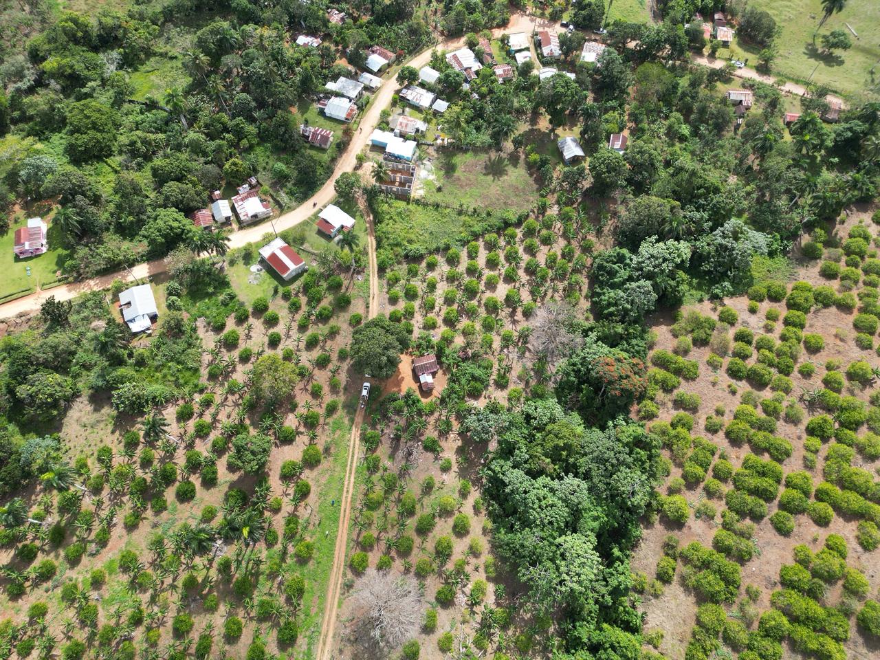 Vendo finca en Bayaguana con título y sembrada. Lee la descripción Foto 7305378-2.jpg