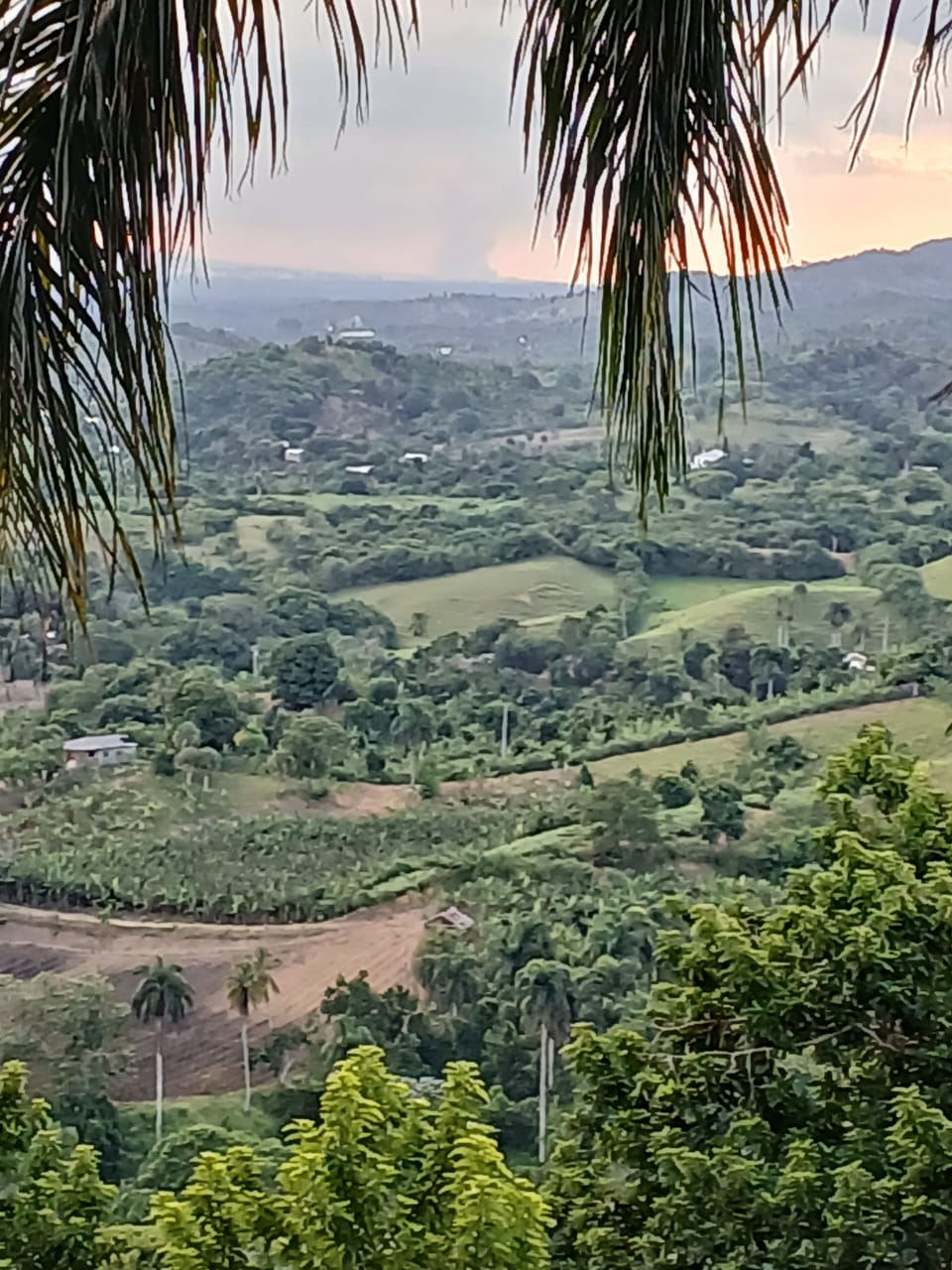 Venta de finca en Moca  Foto 7306531-8.jpg