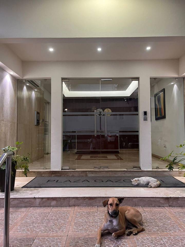 V01-AA-1438 ALQUILER DE APARTAMENTO -GAZCUE Foto 7306850-1.jpg