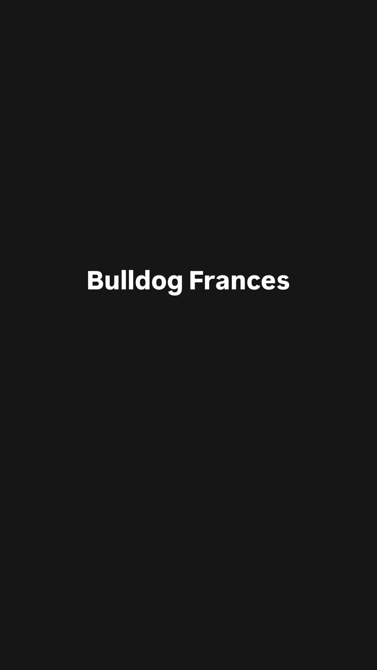 Bulldog francés  Foto 7307116-2.jpg