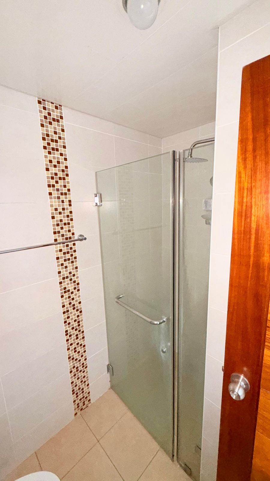 V01-AA-1587 ALQUILO APARTAMENTO AMUEBLADO EN GAZCUE  Foto 7307298-8.jpg