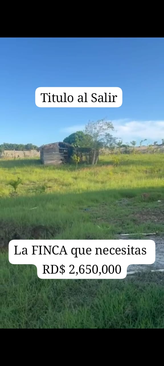 Finca en venta en Carretón BANI de 5000 metros Título al Salir  Foto 7307360-1.jpg