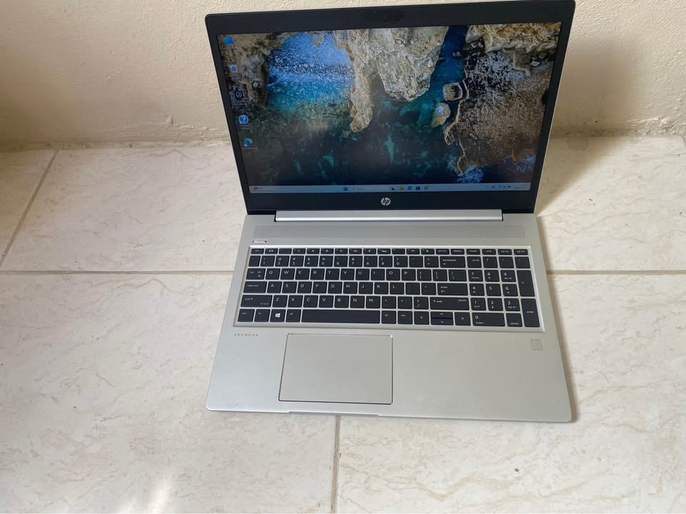 ???? ATENCIÓN VISIONARIOS! Llegó la HP ProBook 455 G7 que va a REVOLUC Foto 7307463-1.jpg