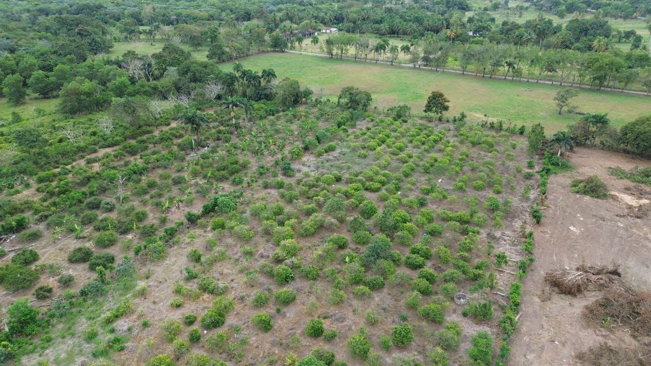 Finca de 12000 metros en hacienda estrella  Foto 7307490-10.jpg