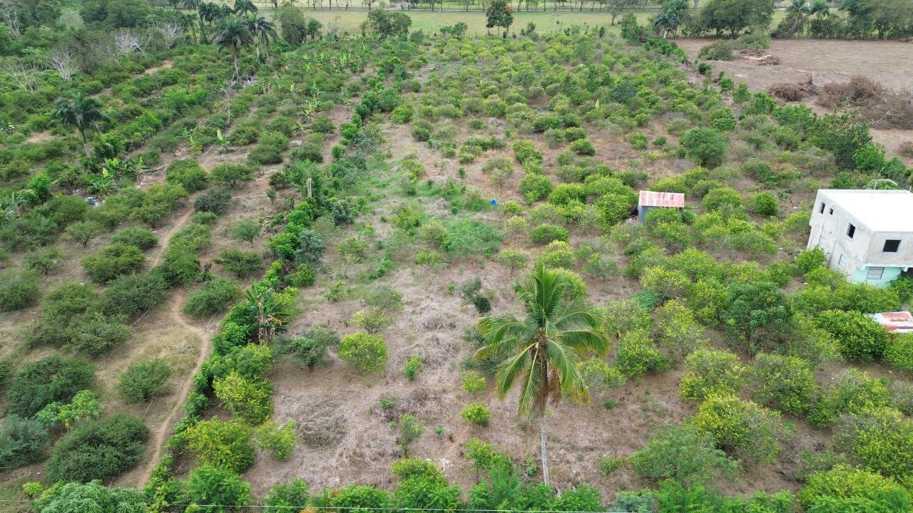 Finca de 12000 metros en hacienda estrella  Foto 7307490-11.jpg