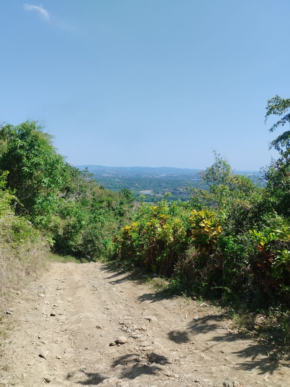 Finca en san cristobal de 65000 metros Foto 7307491-12.jpg