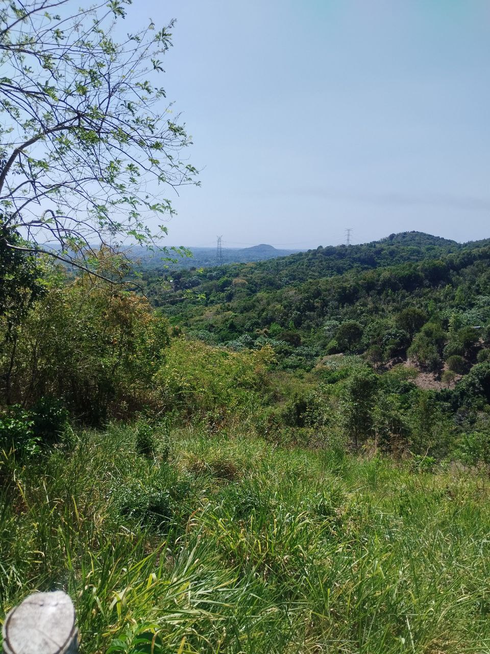 Finca en san cristobal de 65000 metros Foto 7307491-2.jpg
