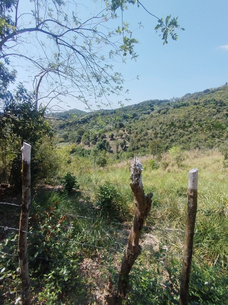 Finca en san cristobal de 65000 metros Foto 7307491-3.jpg