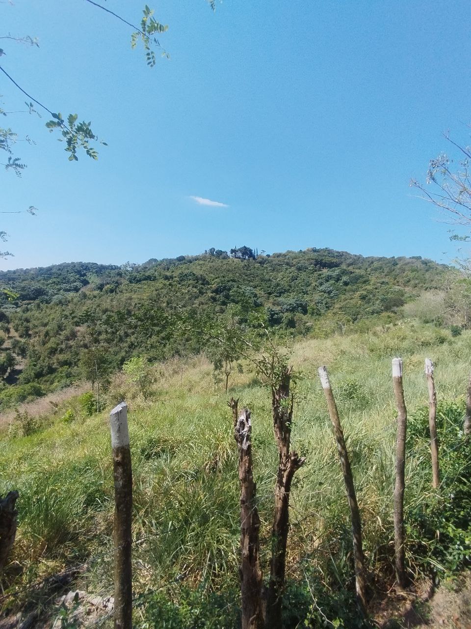 Finca en san cristobal de 65000 metros Foto 7307491-4.jpg