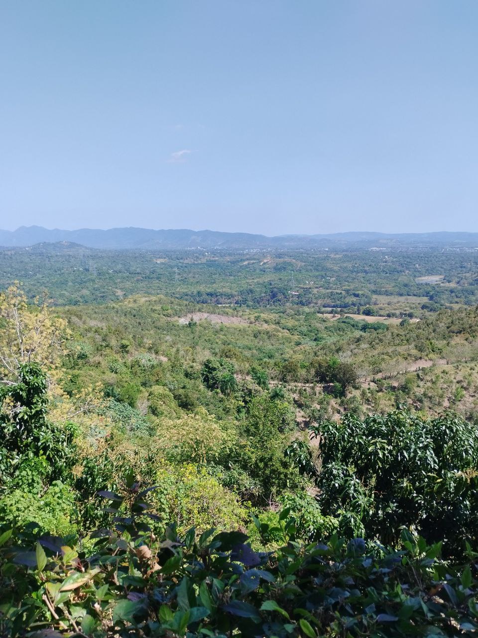 Finca en san cristobal de 65000 metros Foto 7307491-9.jpg