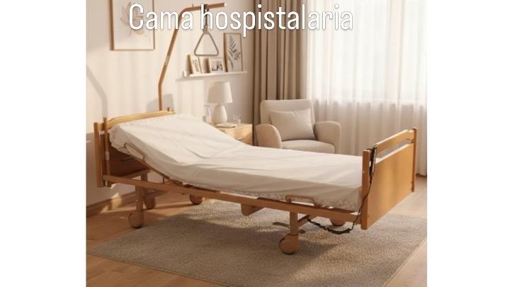 Cama Hospitalaria modelo Europeo Foto 7307890-1.jpg