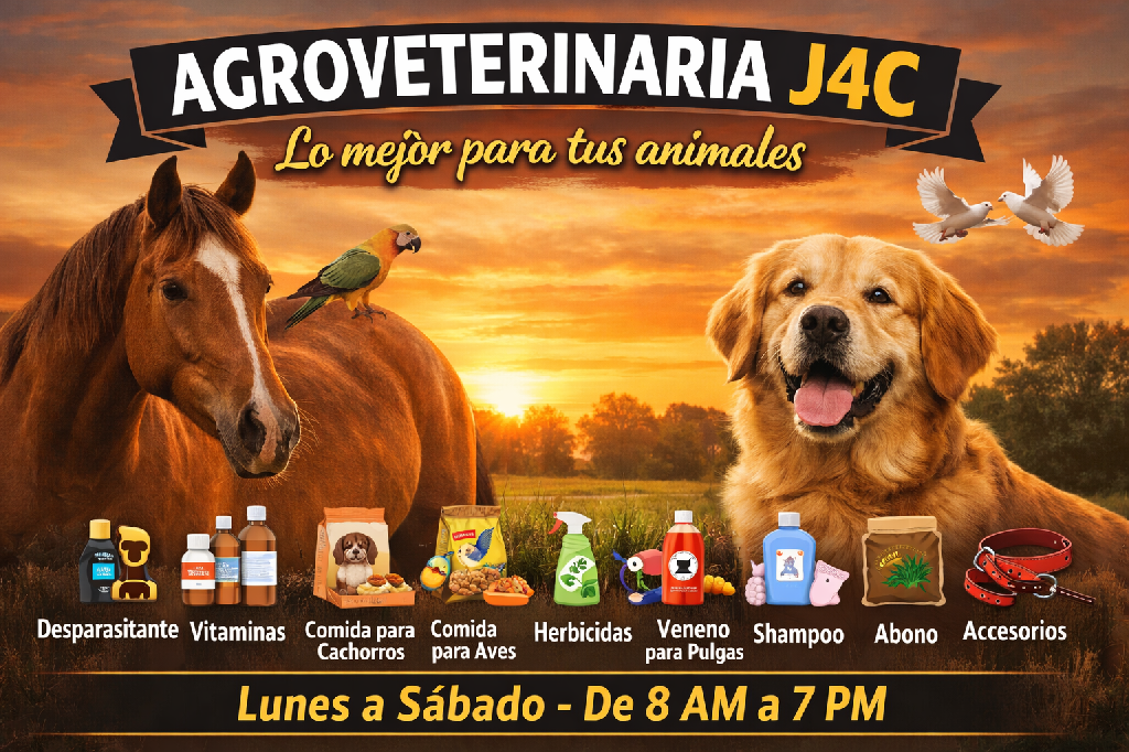 Somos Criadores de más de 20 años de experiencias en el cachorros Foto 7308168-5.jpg