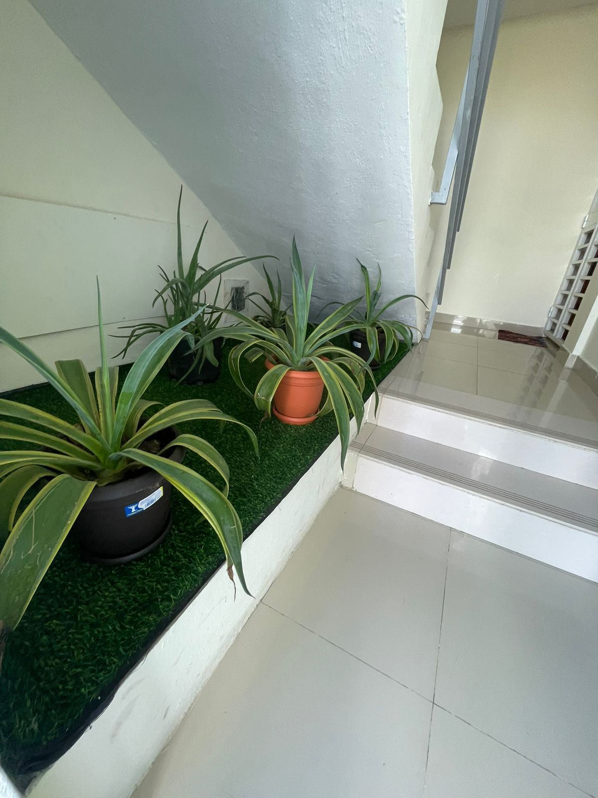 Apartamento en venta – Colinas del arroyo - SDN Foto 7308331-9.jpg