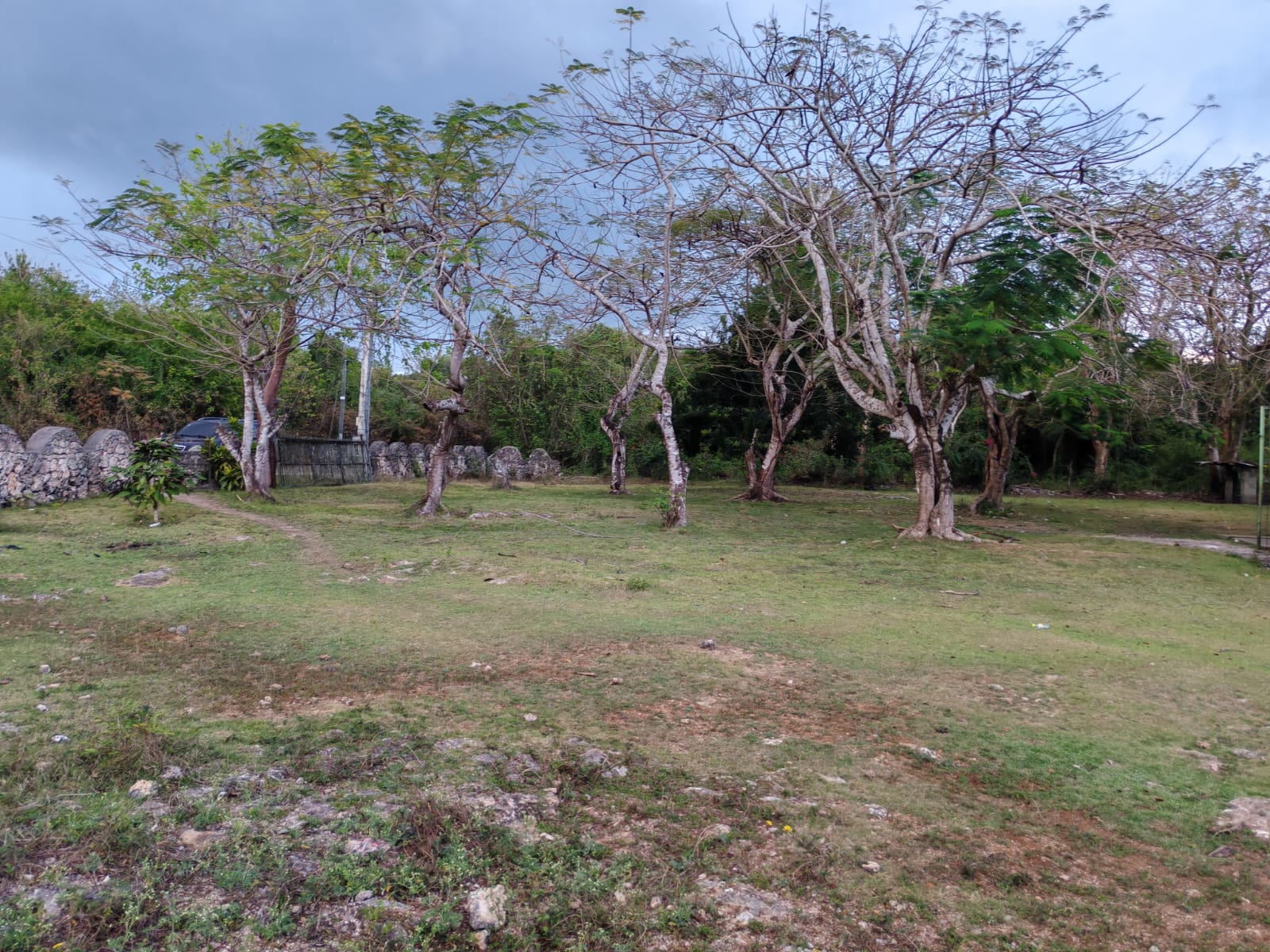 Vendo 14000 Mts.2 de Terreno JUSTO AL LADO de GUAVABERRY en Juan Dolio Foto 7308445-2.jpg
