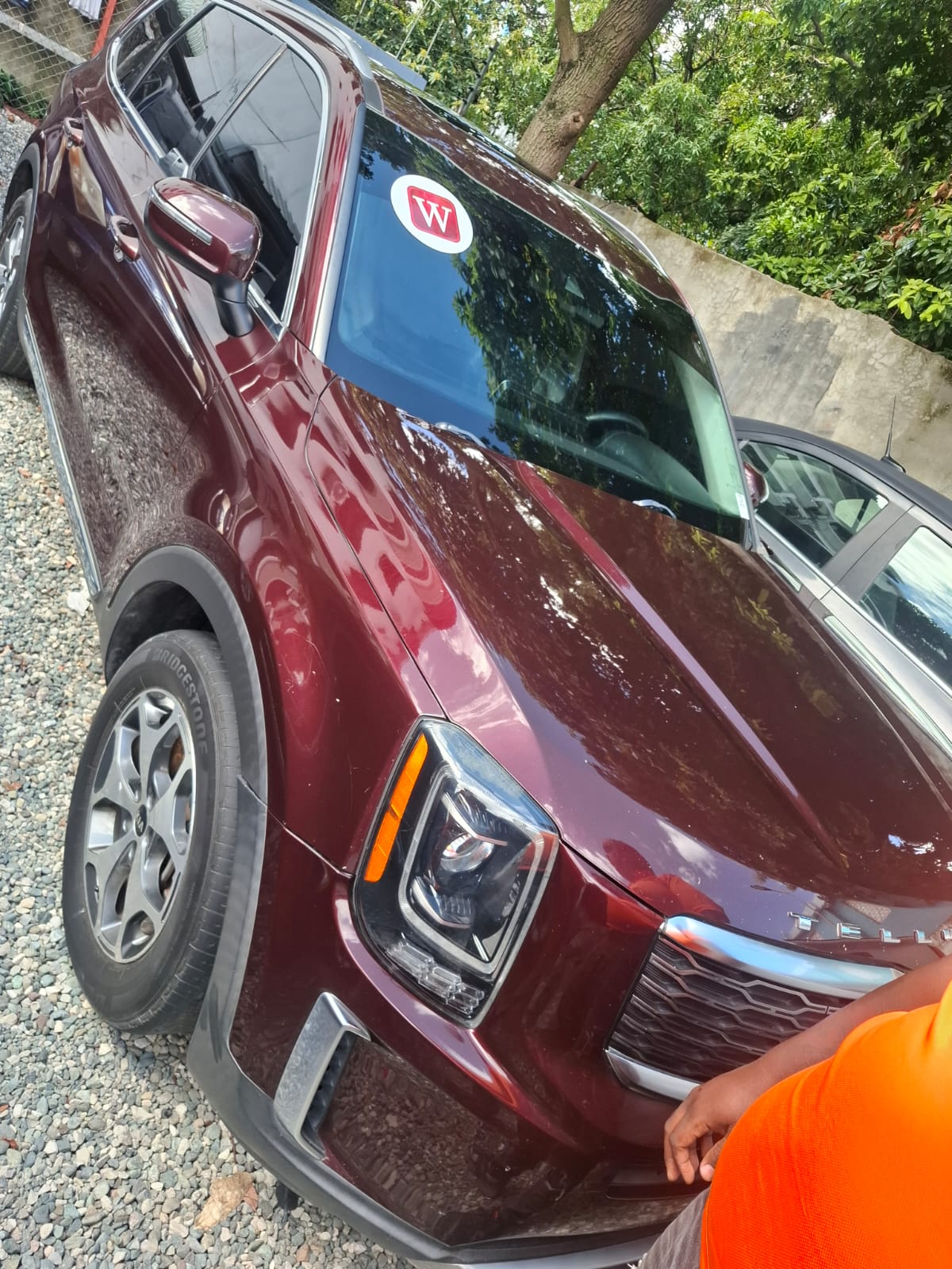 Kia telluride ex 2020 Foto 7308550-1.jpg